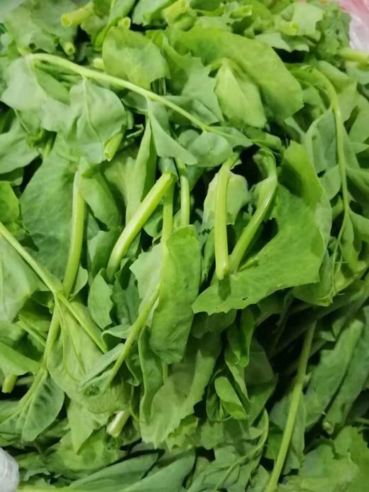 记得回家吃饭 ｜生态蔬菜包 ｜蔬菜配送 ｜不要忘了包装哦 商品图5