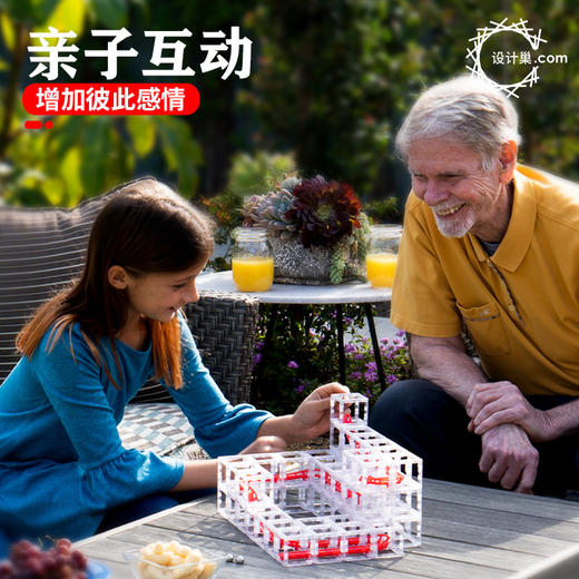 DesignNest滚珠积木玩具 商品图2