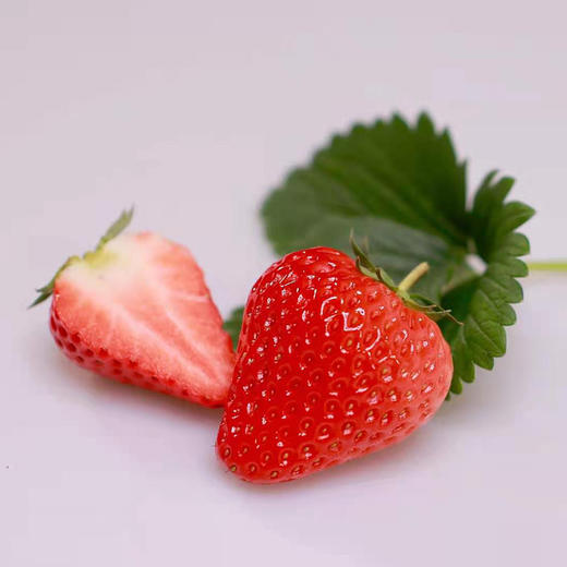 【丹东草莓】顺丰空运到家 娇艳欲滴 清甜脆嫩 黄金酸甜比 唇齿留香 果型饱满 4种规格任选 商品图6