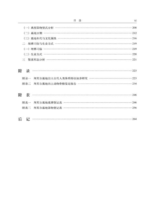 新疆拜其尔墓地——2004～2005年度发掘报告 商品图12
