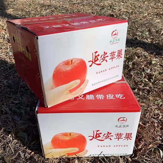 【有机延安洛川苹果】约8.5斤/箱，陕果集团直供 商品图5