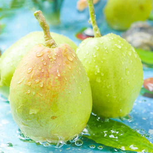 【新疆·库尔勒香梨】应季水果 梨中佳品 核小无渣 汁水浓郁 生津止渴