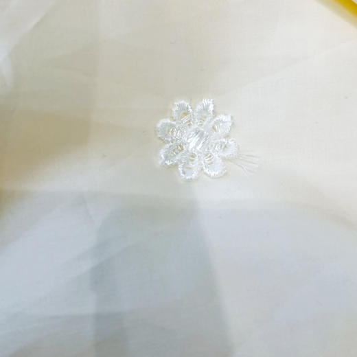 天然黄金茧蚕丝被高档亲肤柔顺被子被芯 商品图3