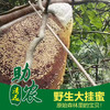 广东连南野生大挂蜜（1斤装） 商品缩略图0