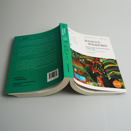 教育督导学 一种发展性视角 第10版 教育治理与领导力丛书 正版 华东师范大学出版社 商品图1