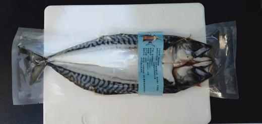 朝鲜油鲅鱼 商品图6