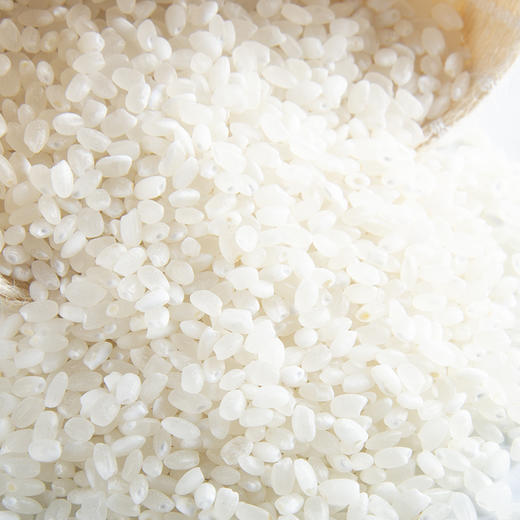 上海崇明大米5KG 商品图2