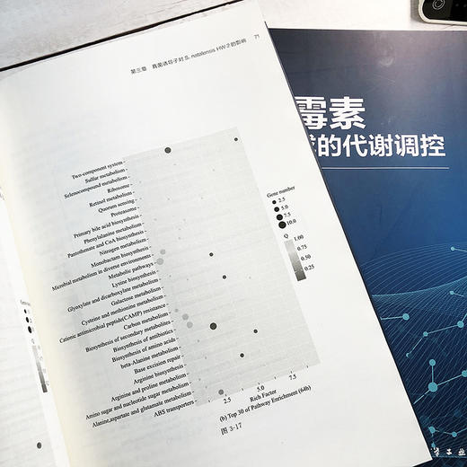 纳他霉素生物合成的代谢调控 王大红 纳他霉素生物合成过程中的真菌诱导子调控支链氨基酸调控优良菌株的选育与发酵条件优化书籍 商品图3