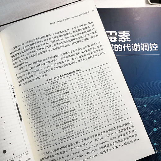 纳他霉素生物合成的代谢调控 王大红 纳他霉素生物合成过程中的真菌诱导子调控支链氨基酸调控优良菌株的选育与发酵条件优化书籍 商品图2