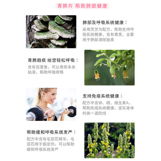 【香港直邮】澳洲原装进口swisse天然草本清肺片肺动能片护肺润肺防雾霾90粒 版本随机 商品图2