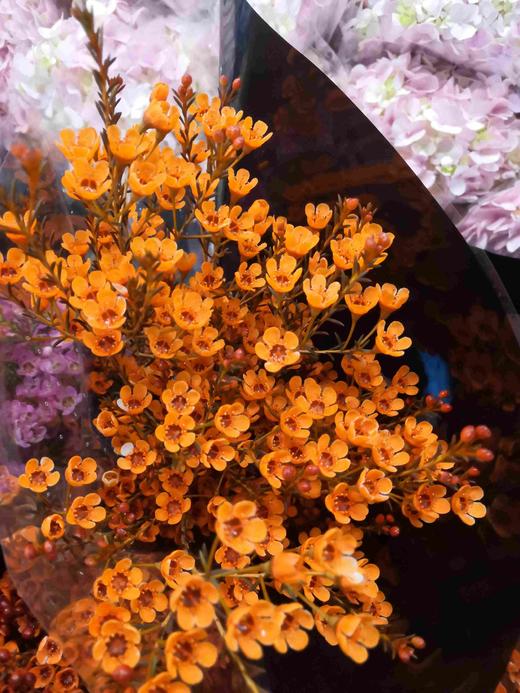 配花-澳梅-橙色 商品图1