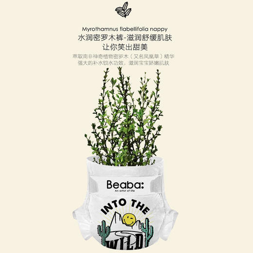 BEABA/碧芭宝贝 smiley微笑系列婴儿纸尿裤S/M/L/XL 2包箱规混批 商品图3