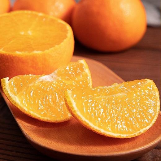 【精品•象山红人礼盒】约4.5斤，果肉香甜细腻爆汁 商品图3