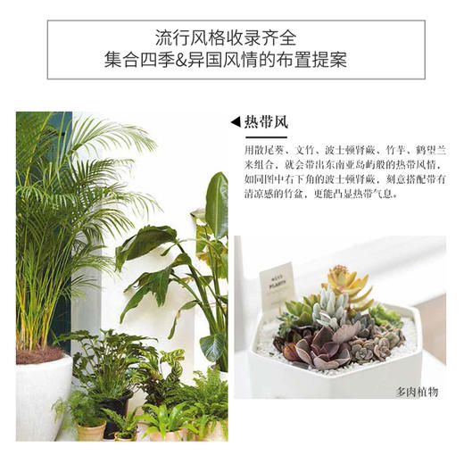 今天起，植物住我家 商品图3