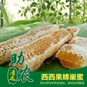 广东连南西西果蜂巢蜜（1斤）