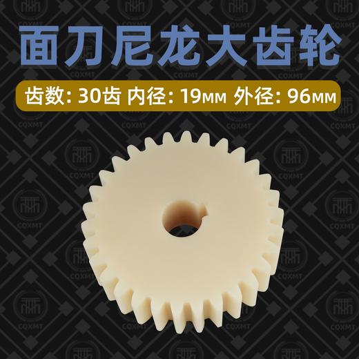 面刀尼龙大齿轮 塑料齿轮  面刀齿轮 单个/价 商品图0