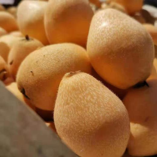 攀枝花米易枇杷 商品图2