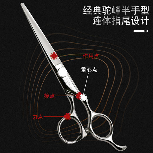 HIGHTOUCH天脉 剪刀 G6002 锋利/综合剪/平剪/6寸 商品图3