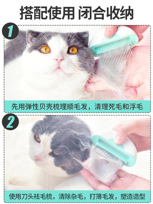 猫咪狗狗家用祛浮毛梳子手套贝壳梳/直柄梳 商品图3