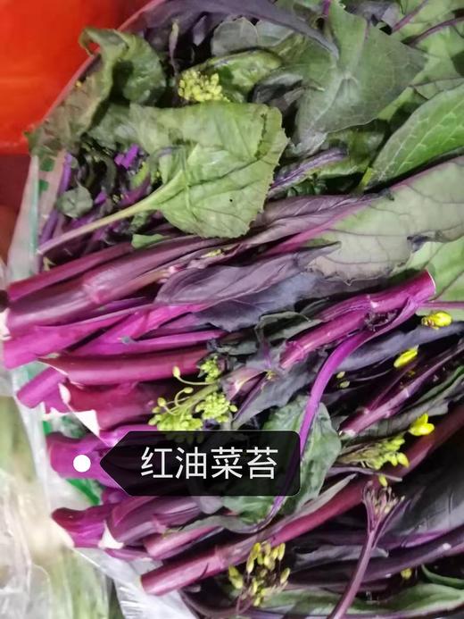 记得回家吃饭 ｜生态蔬菜包 ｜蔬菜配送 ｜不要忘了包装哦 商品图13