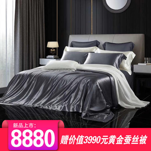 重磅纯色真丝四件套100%双面桑蚕丝22（m/m）丝绸高端奢华床上用品 商品图0