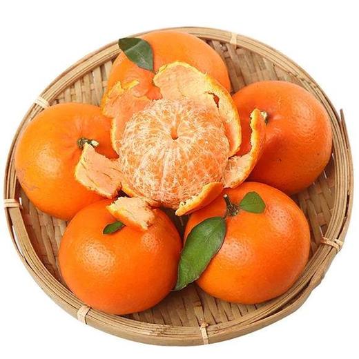当季新鲜水果砂糖橘5斤 商品图0