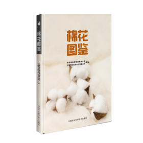 棉花图鉴