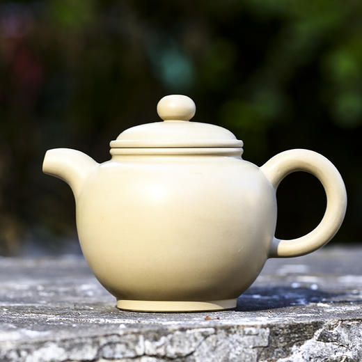 逯英杰 壶 商品图1