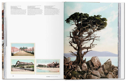 【预订】【TASCHEN】America 1900，美国1900 城市肖像摄影集 商品图5