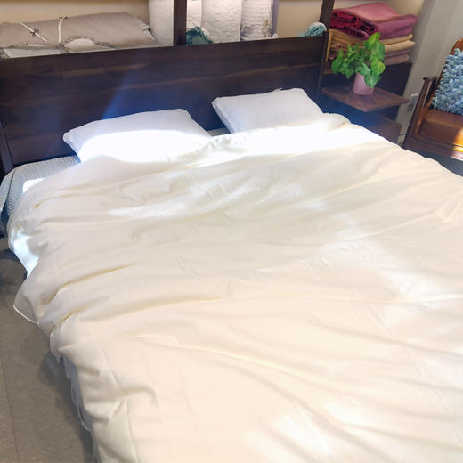 天然黄金茧蚕丝被高档亲肤柔顺被子被芯 商品图1