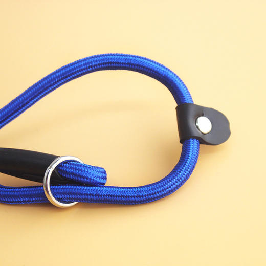 哈士奇金毛狗链子大型小型犬 宠物P链中型犬项圈 1.0 商品图2