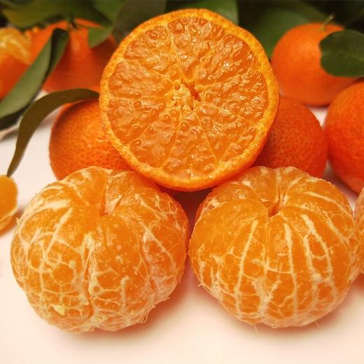 当季新鲜水果砂糖橘5斤 商品图1