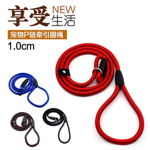 哈士奇金毛狗链子大型小型犬 宠物P链中型犬项圈 1.0 商品图0