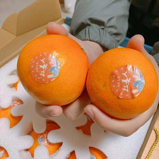 【精品•象山红人礼盒】约4.5斤，果肉香甜细腻爆汁 商品图5