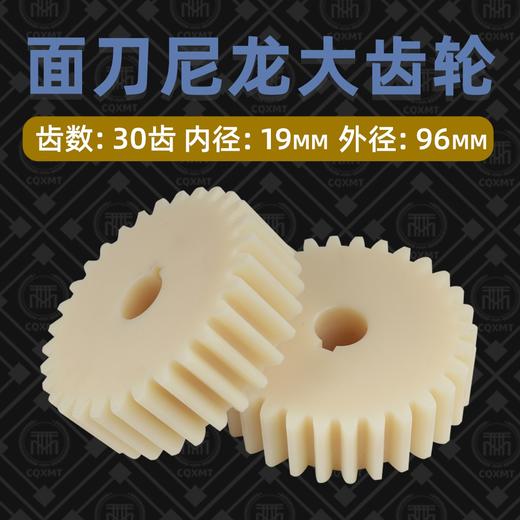 面刀尼龙大齿轮 塑料齿轮  面刀齿轮 单个/价 商品图1