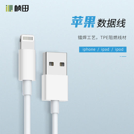 苹果数据线1米（不含运费） 商品图0