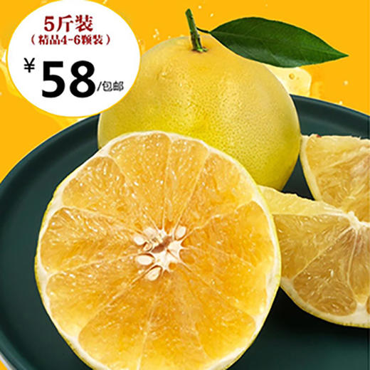 葡萄柚 商品图0