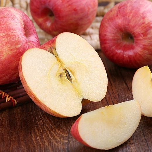 【有机延安洛川苹果】约8.5斤/箱，陕果集团直供 商品图0