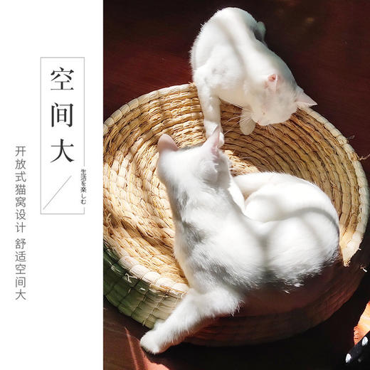草编 猫窝垫 鸡窝 大号猫抓板 猫玩具兔窝鹅窝30--50厘米 商品图2