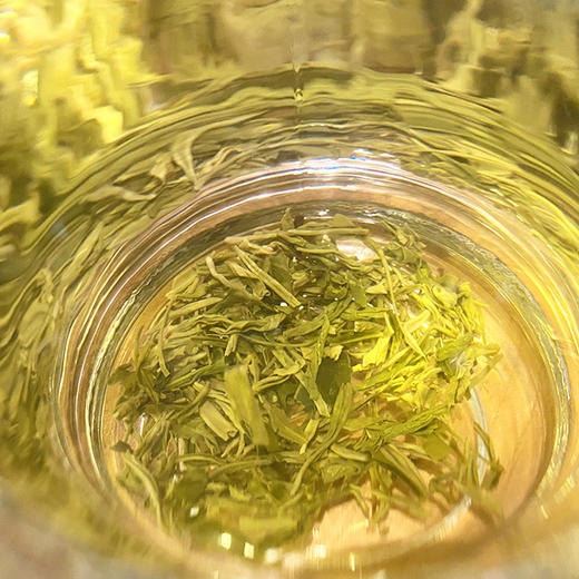 绿茶-热 商品图3