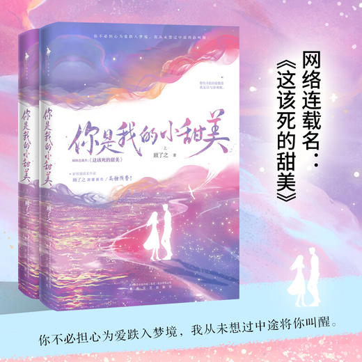 新书预售 你是我的小甜美 顾了之著 青春文学爱情情感小说书籍 商品图3