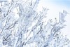 12.20【清远】广东“玉龙雪山”金子山·瑶寨风情两天摄影<臻享1元> 商品缩略图3