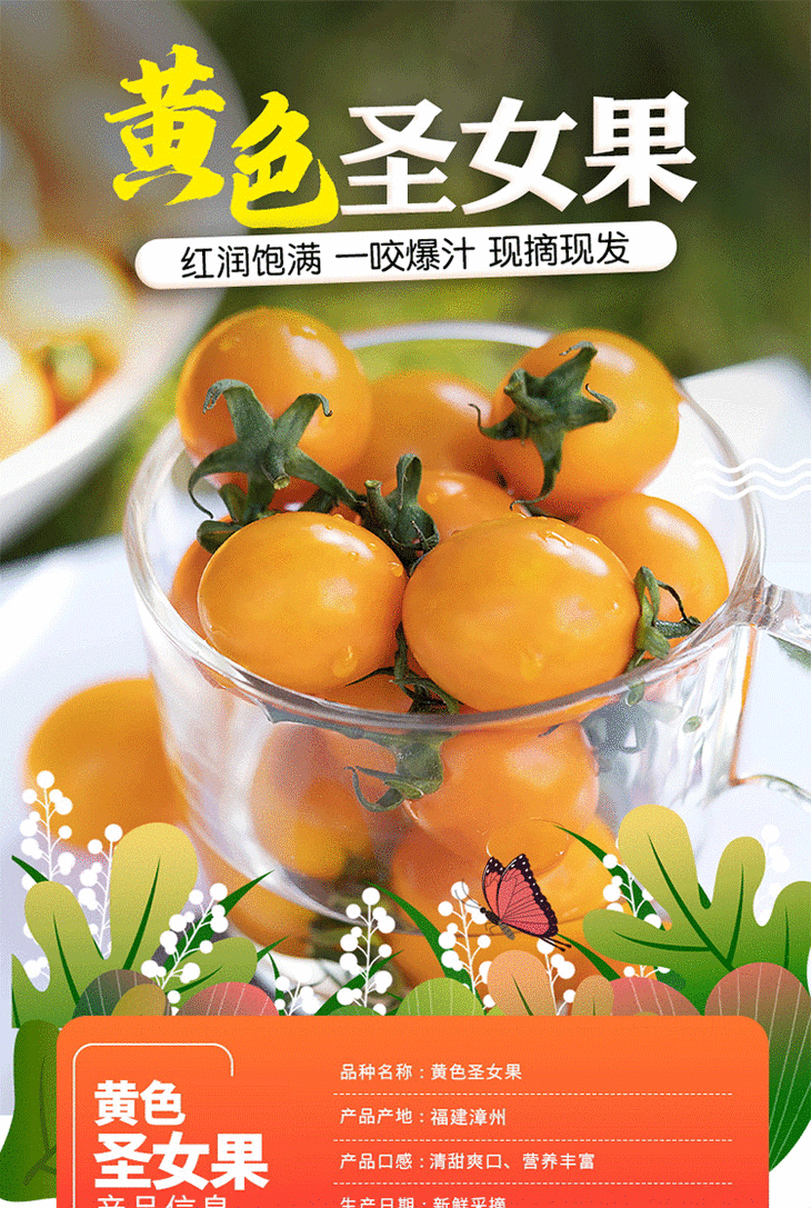 福建漳州黄金圣女果金玲珑小番茄酸甜多汁脆甜爽口3斤装包邮