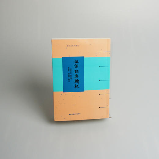 汪渊词集辑校 张明华 胡晓博 辑校 清代名家词选刊 商品图1