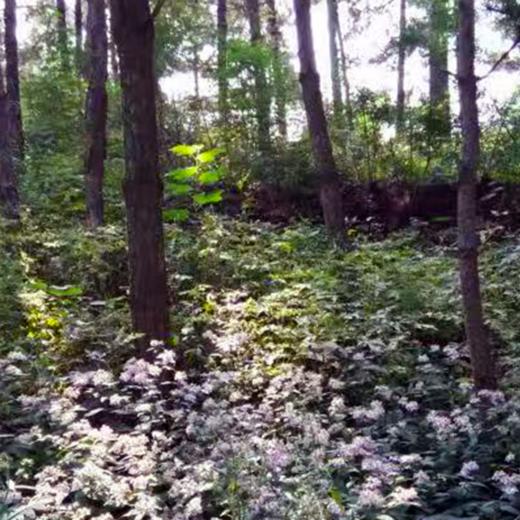 撒欢谷农场 住宿一晚（两大一小） 商品图8