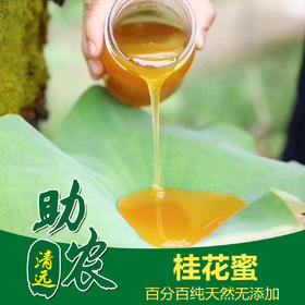 广东连南桂花蜜（1斤）
