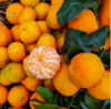 广西砂糖橘，口感甜蜜、细嫩化渣！一口气可以吃十几个都不过瘾！ 商品缩略图3