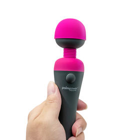 加拿大品牌BMS Palmpower按摩AV棒女用直插电源款震动棒