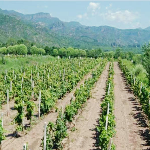 撒欢谷农场 住宿一晚（两大一小） 商品图5