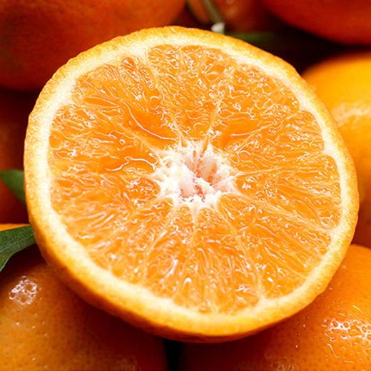 广西武鸣沃柑、现摘水果、鲜嫩易剥、它是橘柑中的小甜甜！ 商品图4